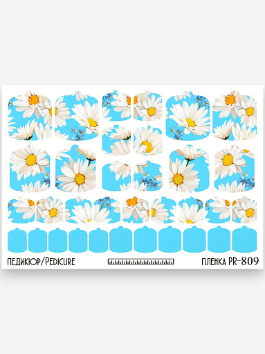 Anna Tkacheva, наклейки пленки для педикюра PR-809