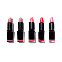 Makeup Revolution Pro, Lipstick Collection - набор из 5 помад (Pinks)
