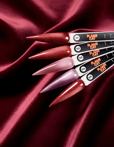 TNL, набор №238 гель-лак "корейская кошка" Flame Cat (5 оттенков по 6 мл) TNL, набор №238 гель-лак "корейская кошка" Flame Cat (5 оттенков по 6 мл)