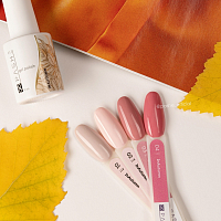 PASHE, гель-лак InAutumn №04, 9 мл