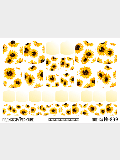 Anna Tkacheva, наклейки пленки для педикюра PR-839