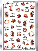 Anna Tkacheva, слайдер-дизайн AW-281