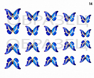 Слайдер-дизайн "бабочки голубая лагуна 14"
