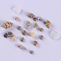 3D декор для ногтей "морские ракушки"