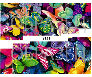 Слайдер-дизайн "Бабочки s151"