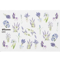 Bloom, слайдер-дизайн C51
