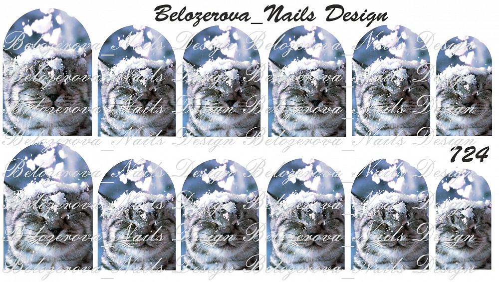 Слайдер-дизайн Belozerova Nails Design на прозрачной пленке (724)