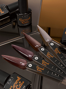 TNL, набор №237 гель-лак "корейская кошка" Caramel Cat (4 оттенка по 6 мл)