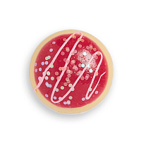 I HEART REVOLUTION, Donuts - палетка теней для век "Cherry Pie"