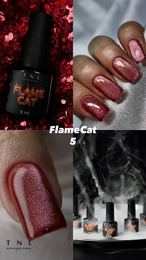 TNL, Flame Cat - гель-лак "корейская кошка" №05 (огненный импульс), 6 мл