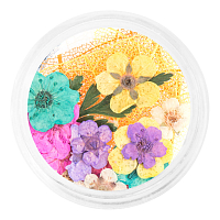 Irisk, сухоцветы набор в баночке (№03)