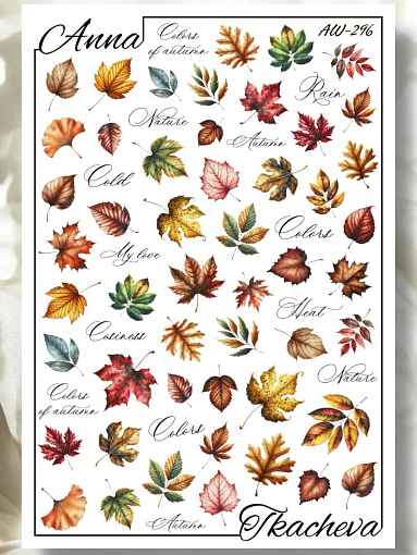 Anna Tkacheva, слайдер-дизайн AW-296