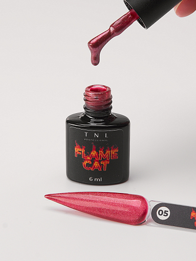 TNL, набор №238 гель-лак "корейская кошка" Flame Cat (5 оттенков по 6 мл)