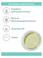 Aravia, Blemish Correction Mask - маска-корректор против несовершенств 2 в 1, 100 мл