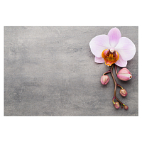 Irisk, фотофон виниловый для предметной съемки А3 (орхидея)