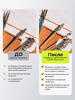 ФармКосметик / Livsi, Corr Remover - средство для удаления коррозии, 300 мл