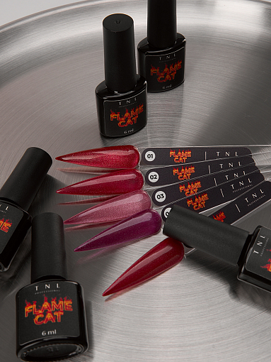 TNL, набор №238 гель-лак "корейская кошка" Flame Cat (5 оттенков по 6 мл)