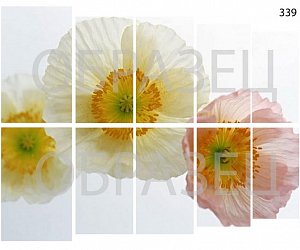 Слайдер-дизайн "Цветы разное 339"
