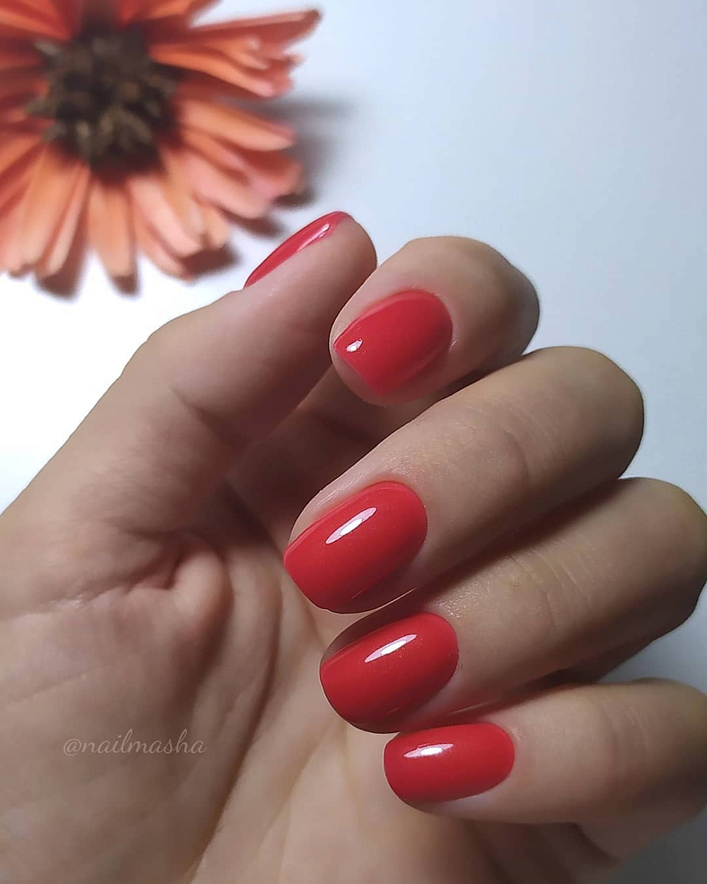 nailmasha