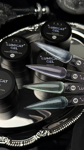 TNL, Lumicat gel - жесткий гель для наращивания с эффектом "кошачий глаз" №04, 15 мл