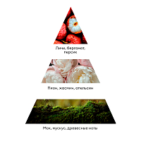 Runail, шиммер-мист для рук и тела с эффектом фотошопа (мускус, пион, личи), 150 мл