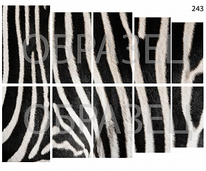 Слайдер-дизайн "Текстура зебры 243"