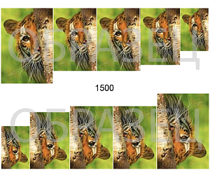 Слайдер-дизайн "Подглядывающий тигр 1500"