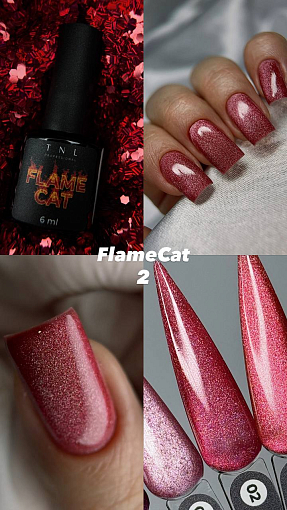 TNL, Flame Cat - гель-лак "корейская кошка" №02 (пылающий магнетизм), 6 мл