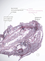 Irisk, Texture - краска гелевая текстурная для дизайна ногтей №06 (Fairy Pink), 5 мл
