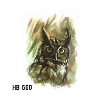 Irisk, тату для тела ЗD переводные (HB-660)