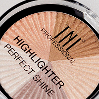 TNL, набор №41 хайлайтер для лица Perfect Shine 6.5 гр и тени для век Nude Couture