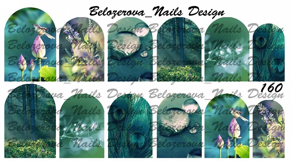 Слайдер-дизайн Belozerova Nails Design на прозрачной пленке (160)