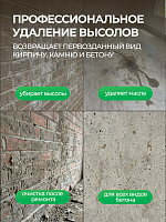 Тефлекс, АнтиСОЛЬ - смывка, средство для удаления нерастворимых солей, жиров, грязи (пробка), 1 л