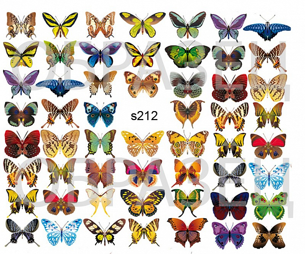Слайдер-дизайн "Бабочки, микс s212"