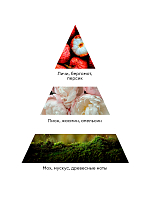 RuNail, парфюмированный суфле-парафин для рук и тела (мускус, пион, личи), 150 мл