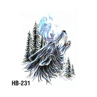 Irisk, тату для тела ЗD переводные (HB-231)
