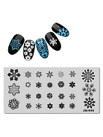 Барбарис, пластина для стемпинга 12*6 см JR009