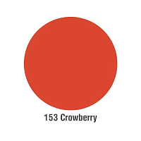 Irisk, пигмент PmExpert Velvet pigments для татуажа губ (№153 Crowberry), 12мл