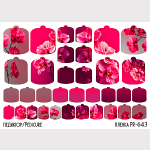 Anna Tkacheva, наклейки пленки для педикюра PR-643