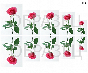 Слайдер-дизайн "Красная роза 355"