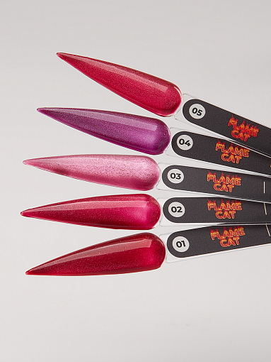 TNL, набор №238 гель-лак "корейская кошка" Flame Cat (5 оттенков по 6 мл)