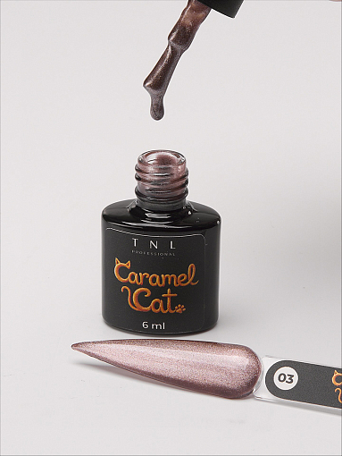 TNL, Caramel Cat - гель-лак "корейская кошка" №03 (магический трюфель), 6 мл
