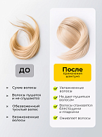 Adricoco, набор №114 липидный шампунь, липидная маска-реноватор для волос с комплексом масел