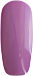 фиолетовый, фиолетово-пурпурный и сиреневый