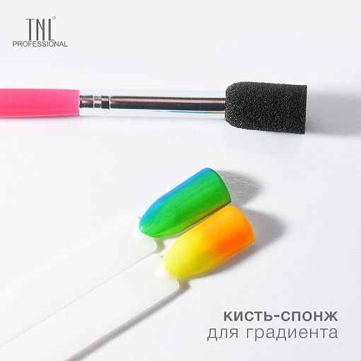 TNL, кисть-спонж для градиента